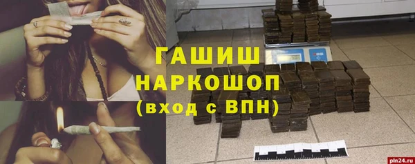 гашик Алексин