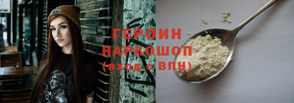 гашик Алексин
