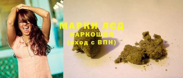 гашик Алексин