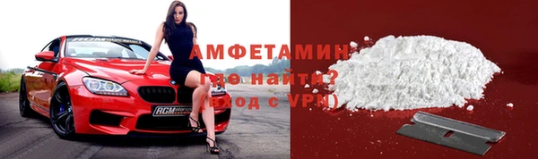 гашик Алексин