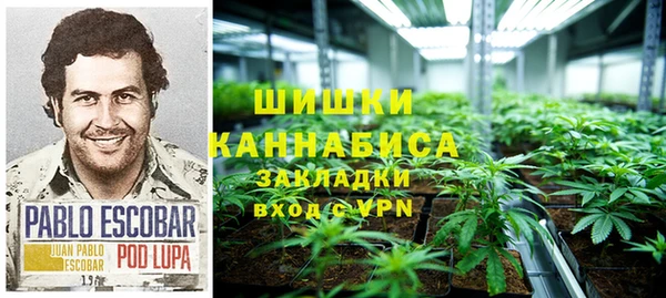 гашик Алексин