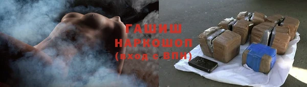 гашик Алексин