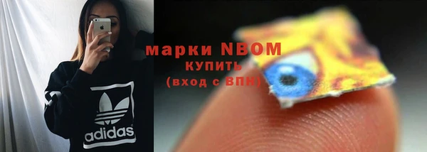 гашик Алексин