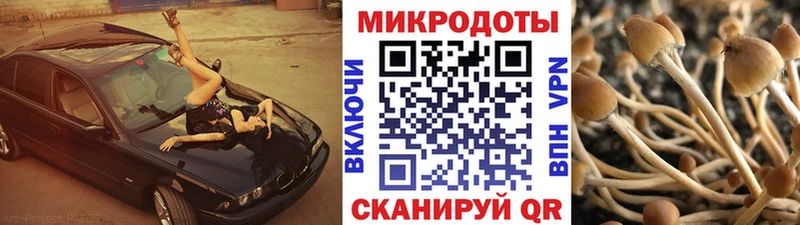 блэк спрут ссылки  Карабаново  Псилоцибиновые грибы GOLDEN TEACHER 